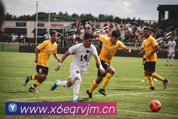 米兰体育平台官网APP 封面图